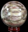Colorful Petrified Wood Sphere #49776-1